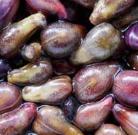 Grape Seed-Audifort-Ingredients