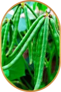 Choline-Livpure-Ingredients