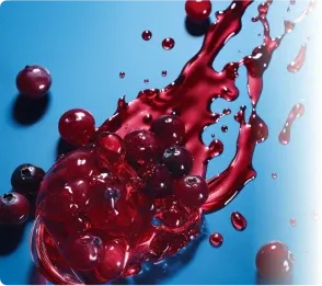 Provadent-Ingredient