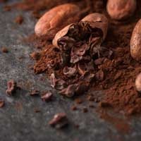 Theobromine-CogniCare-Pro-Ingredients