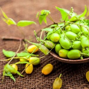 Neem-jointvive-ingredients