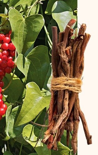alhpafuel-pro-ingredients